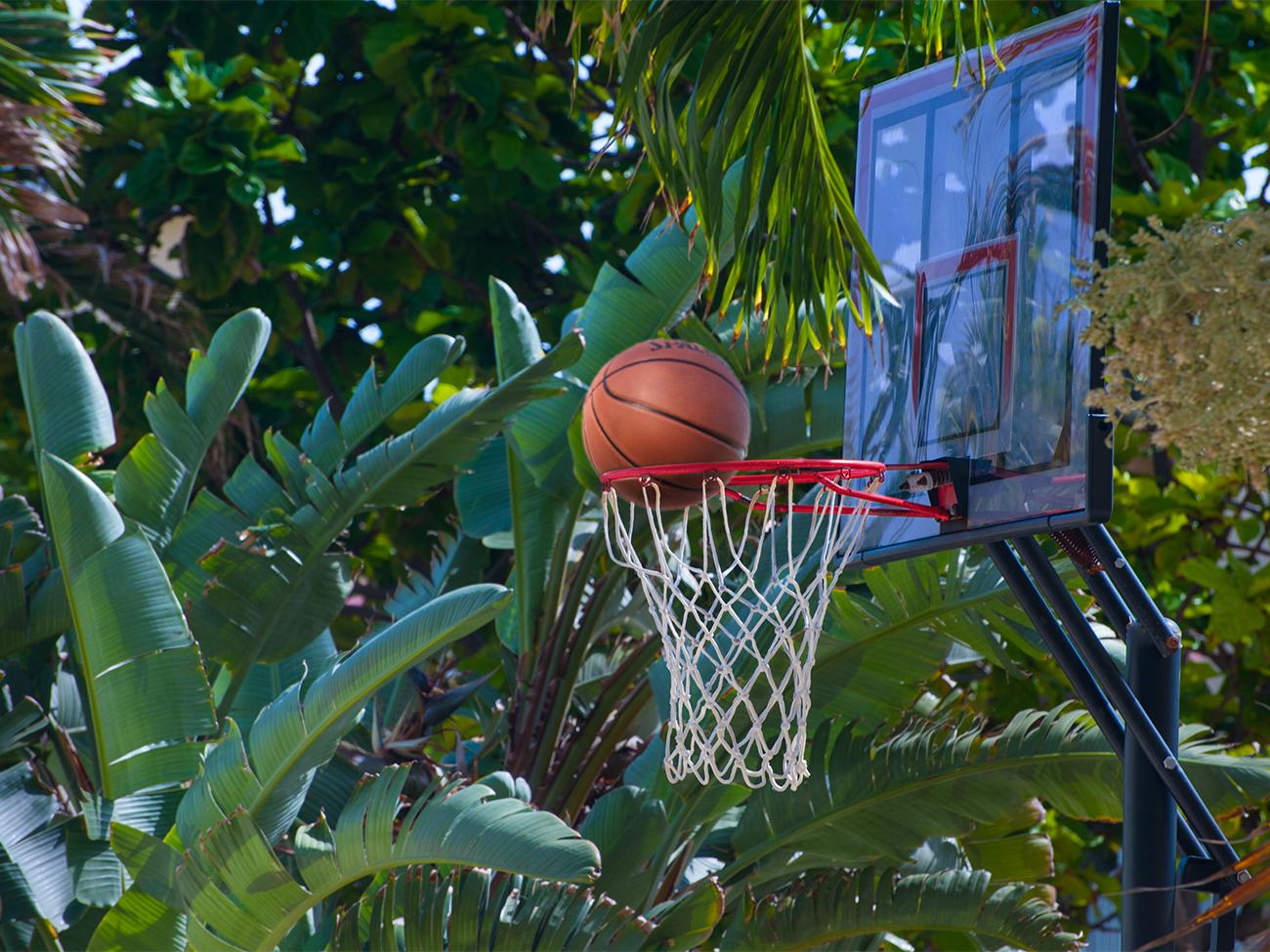 Basketball Court